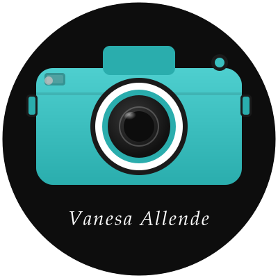 vanesa allende photographer in playa del carmen