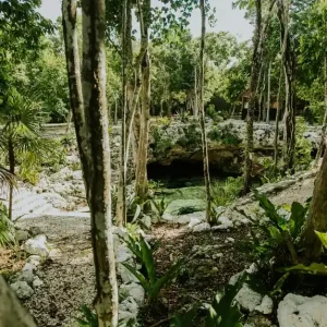 cenote-cristalino-photographer-playa-del-carmen